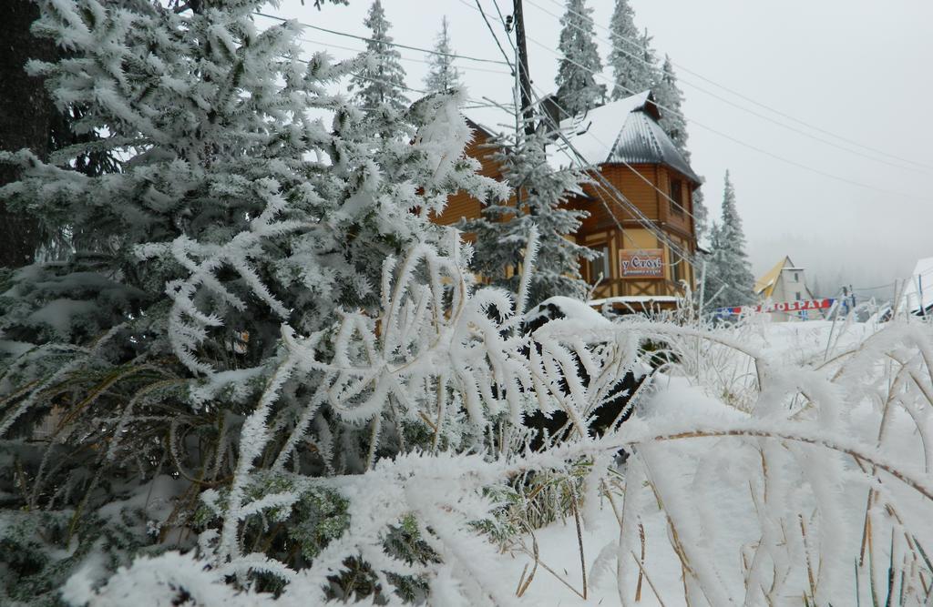 U Stozi Hotel Драгобрат Экстерьер фото